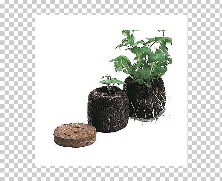 Peat Plant Propagation Pellet Fuel Transplanting Plug PNG, Clipart, Coir, Compost, Cutting, Fertilisers, Flowerpot Free PNG Download
