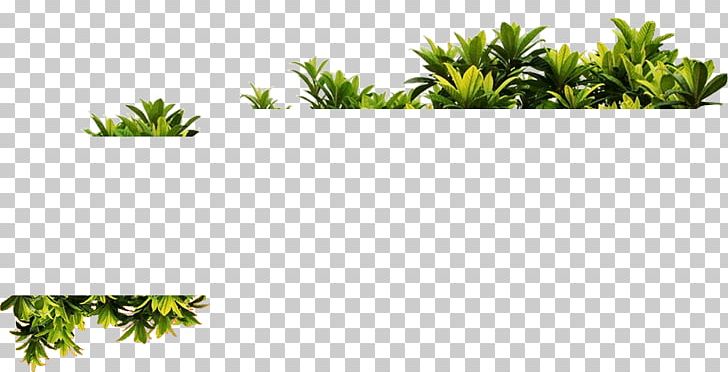 Plant Vine PNG, Clipart, Aquarium Decor, Area, Arecales, Chemical Factory, Copy1 Free PNG Download