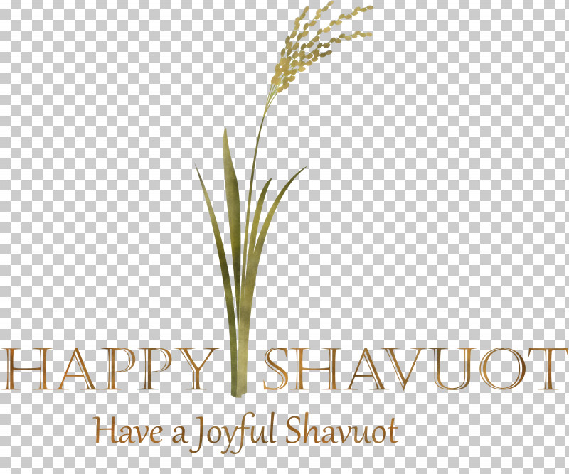 Happy Shavuot Shavuot Shovuos PNG, Clipart, Crop, Elymus Repens, Flower, Food Grain, Grass Free PNG Download