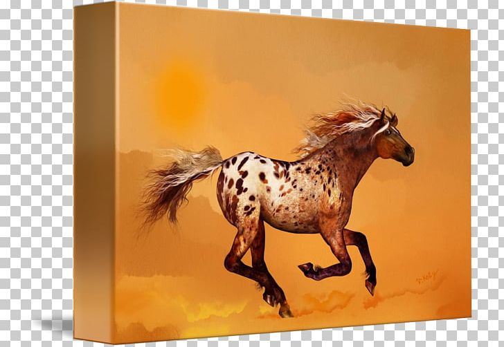 Appaloosa Mustang Stallion Pony Gallery Wrap PNG, Clipart, Animal, Appaloosa, Art, Canvas, Fauna Free PNG Download