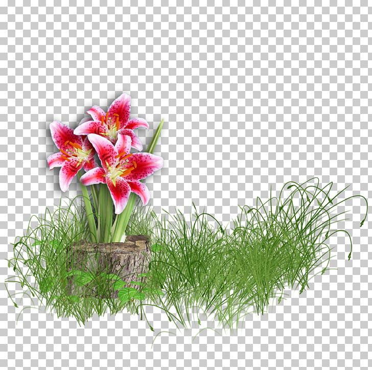 Flower Lilium PNG, Clipart, Amaryllis, Aquarium Decor, Artificial Flower, Blog, Cut Flowers Free PNG Download