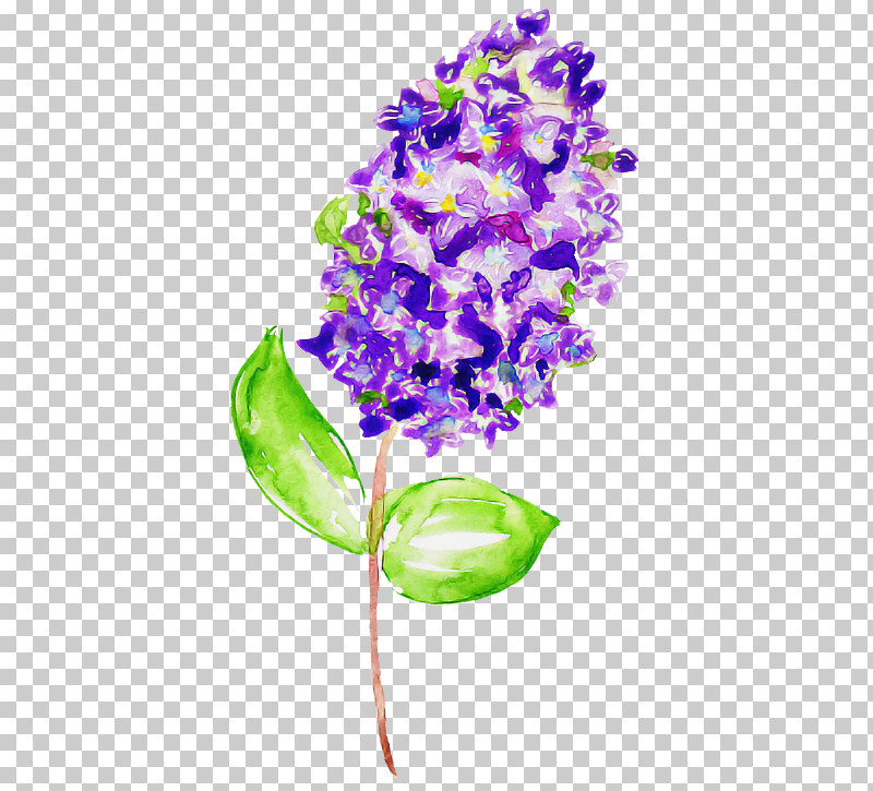 Flower Purple Violet Plant Lilac PNG, Clipart, Cut Flowers, Dendrobium, Flower, Lilac, Orchid Free PNG Download
