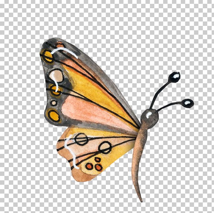 Monarch Butterfly Moth Nymphalidae Danaus PNG, Clipart, Arthropod, Blue Butterfly, Brush Footed Butterfly, Butterflies, Butterfly Free PNG Download