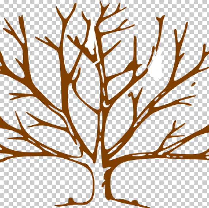 Open Tree Graphics Free Content PNG, Clipart, Artwork, Black And White, Branch, Computer Icons, Flora Free PNG Download