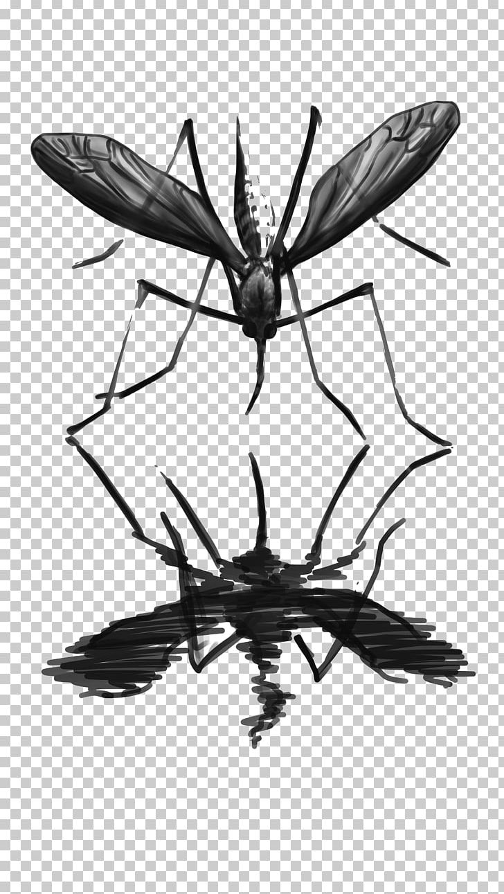 Insect Pollinator Membrane PNG, Clipart, Animals, Arthropod, Black And White, Fly, Insect Free PNG Download