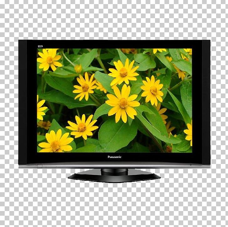 Television Set Panasonic LED-backlit LCD Liquid-crystal Display PNG, Clipart, Appliances, Backlight, Computer Monitor, Display Device, Flower Free PNG Download