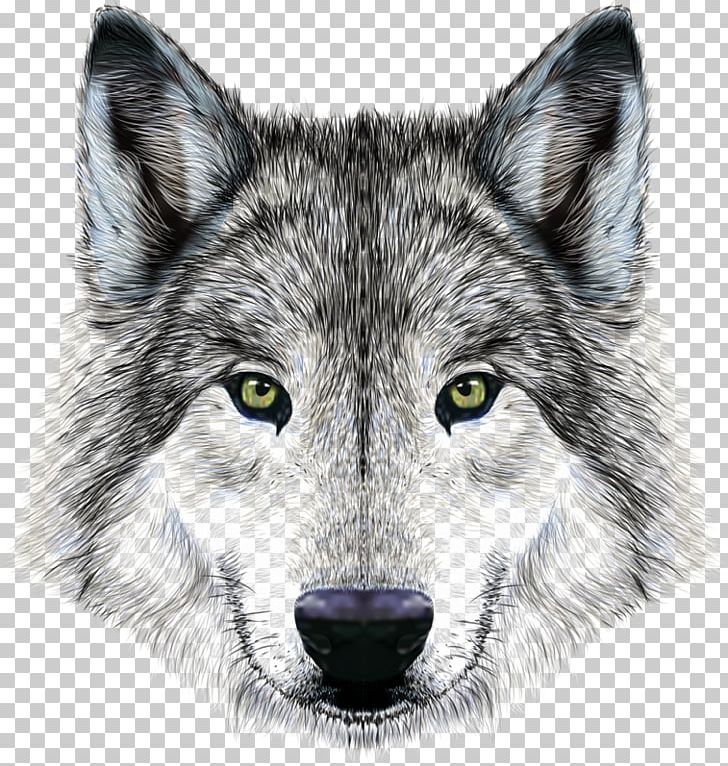 Dog Arctic Wolf Mexican Wolf Illustration PNG, Clipart, Animal, Animals, Carnivoran, Dog Like Mammal, Encapsulated Postscript Free PNG Download