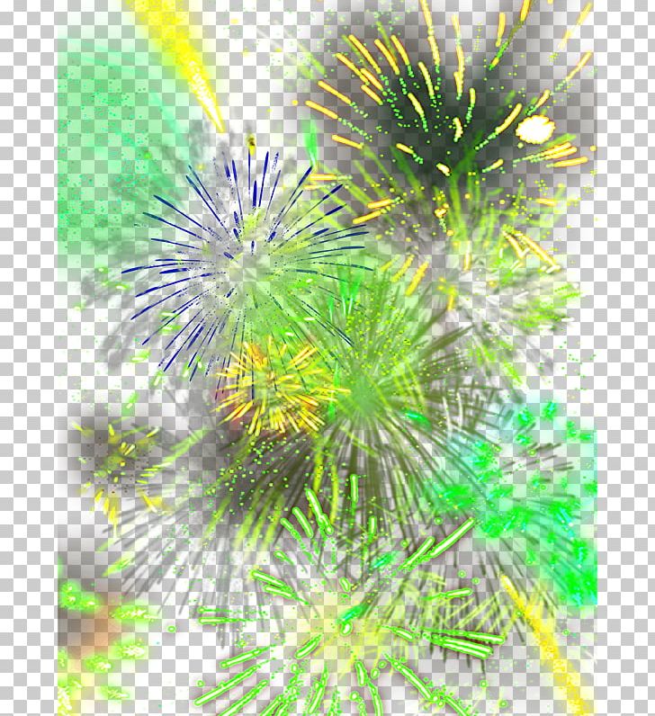 Fireworks Green PNG, Clipart, Adobe Illustrator, Background, Branch, Encapsulated Postscript, Firework Free PNG Download