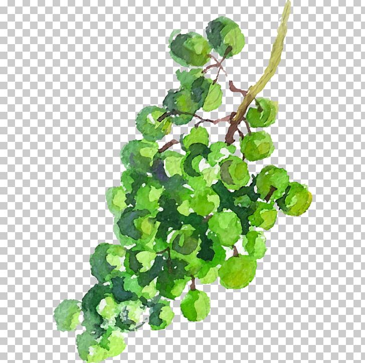 Grape Juice Auglis PNG, Clipart, Background Green, Cyan, Encapsulated Postscript, Fruit, Fruit Nut Free PNG Download