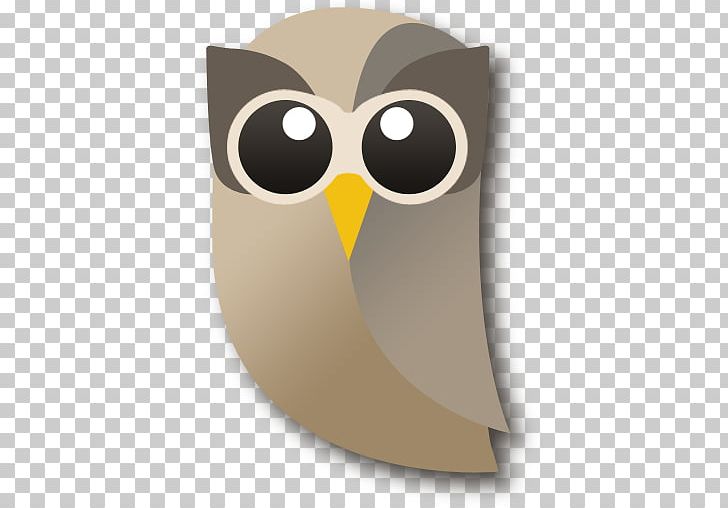 Social Media Placester PNG, Clipart, Advertising, Beak, Bird, Bird Of Prey, Blog Free PNG Download