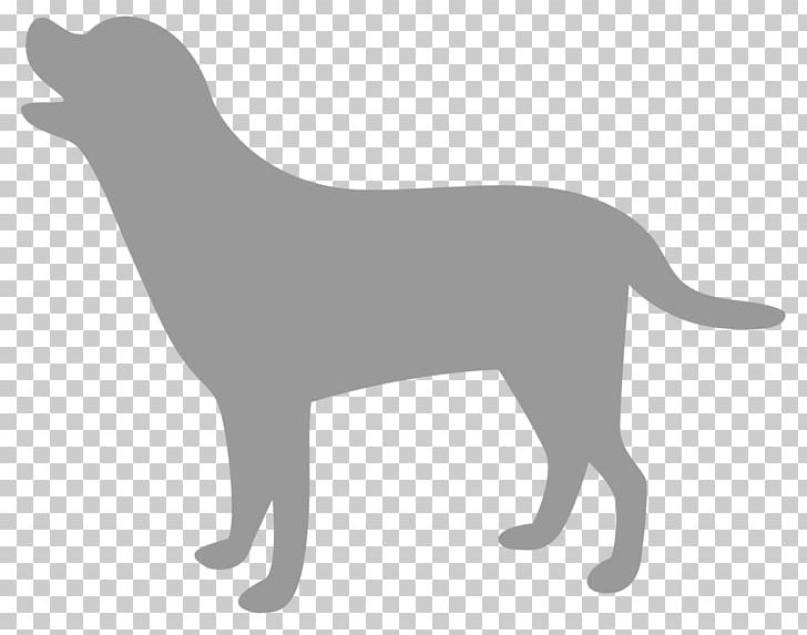 Labrador Retriever Dog Breed Puppy Sporting Group PNG, Clipart, Animals, Black, Black And White, Breed, Carnivoran Free PNG Download