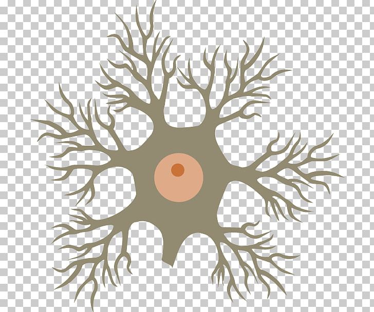 Stock Photography Neuron PNG, Clipart, Behavioural Genetics, Branch, Cell, Circle, Industry Free PNG Download