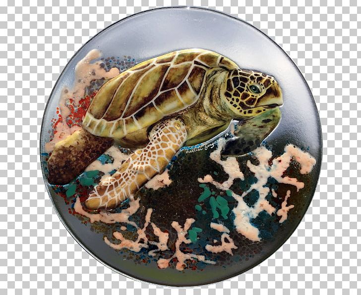 Box Turtles Tortoise Sea Turtle PNG, Clipart, Box Turtle, Box Turtles, Emydidae, Reptile, Sea Turtle Free PNG Download