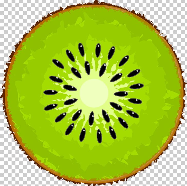 Kiwifruit PNG, Clipart, Circle, Drawing, Food, Fruit, Fruit Nut Free PNG Download