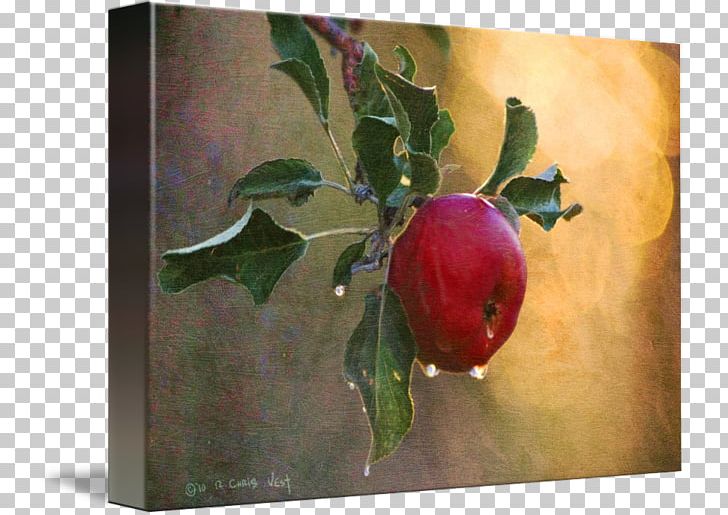 Still Life Photography Watercolor Painting Gallery Wrap Canvas PNG, Clipart, Apple, Art, Artwork, Canvas, Fruit Free PNG Download