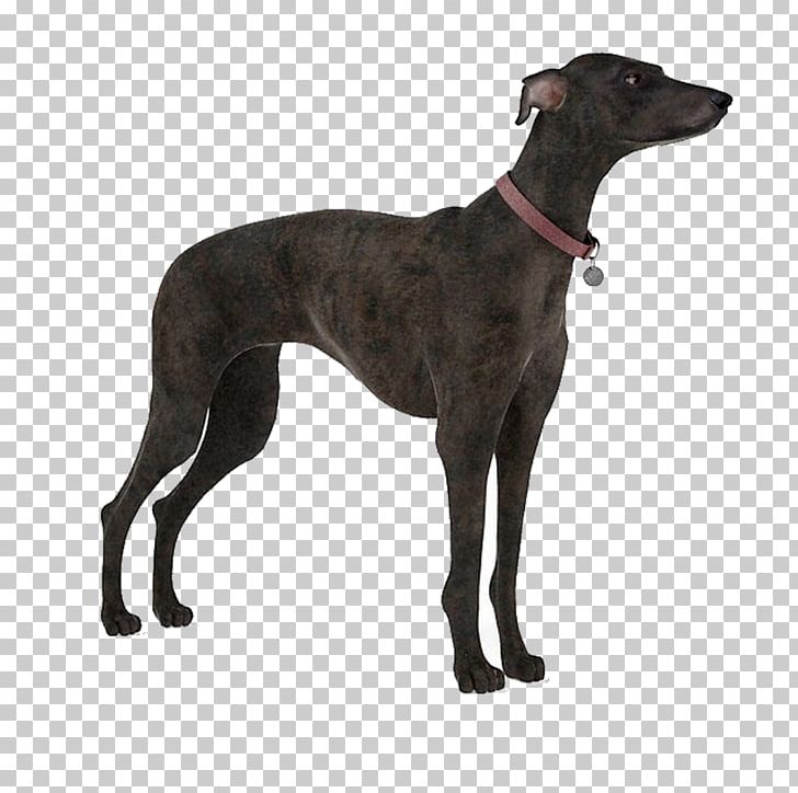 Dog Autodesk 3ds Max 3D Modeling 3D Computer Graphics Texture Mapping PNG, Clipart, 3d Computer Graphics, 3d Modeling, Animal, Animals, Black Free PNG Download