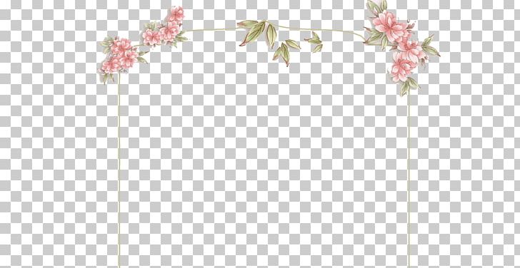 Petal Floral Design Angle Pattern PNG, Clipart, Angle, Background, Background Box, Border Frame, Border Frames Free PNG Download