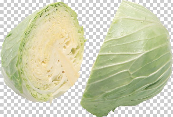 Cabbage PNG, Clipart, Cabbage Free PNG Download