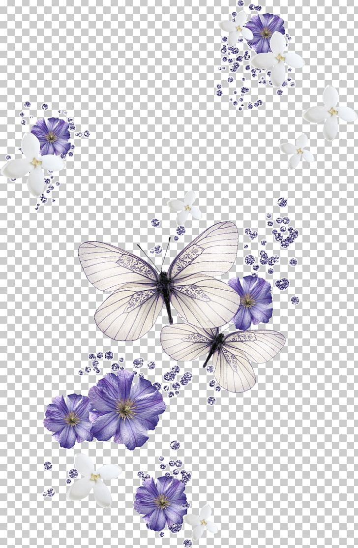 Butterfly Desktop Color PNG, Clipart, Backgr, Blog, Blue, Brush Footed Butterfly, Butterflies And Moths Free PNG Download