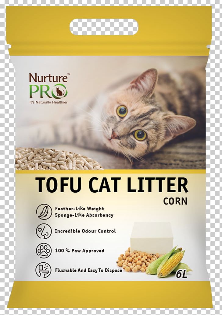 Cat Litter Trays Pet Dog Tofu PNG, Clipart, Animals, Cat, Cat Food, Cat Health, Cat Like Mammal Free PNG Download