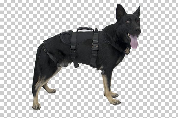 Dog Harness Police Dog Abseiling Search And Rescue Dog Chinese Crested Dog PNG, Clipart, Abseiling, Carnivoran, Climbing Harnesses, Dog, Dog Breed Free PNG Download
