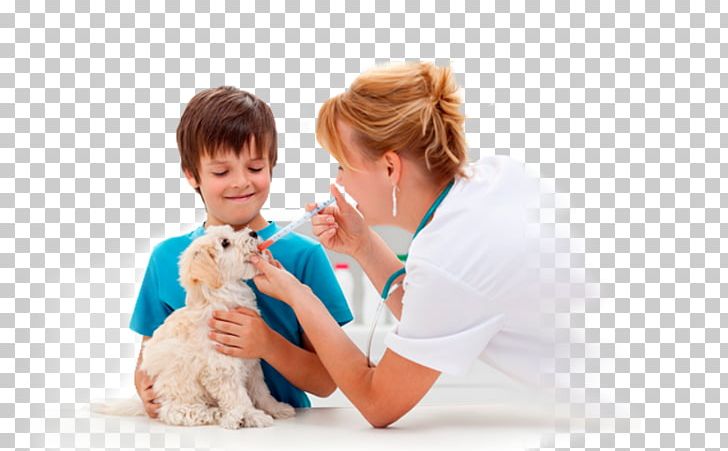 Dog Veterinary Medicine Veterinarian Pet Cat PNG, Clipart, Animals, Child, Disease, Girl, Medical Diagnosis Free PNG Download