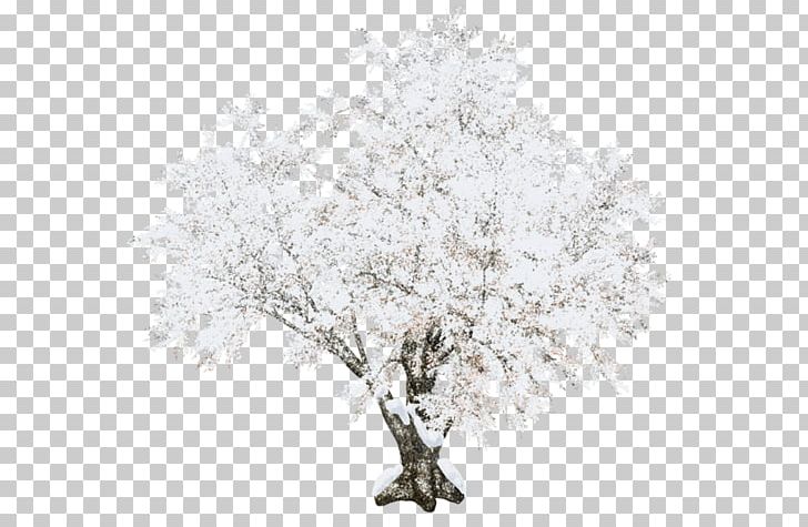 Tree Encapsulated PostScript PNG, Clipart, Black And White, Branch, Download, Encapsulated Postscript, Frost Free PNG Download