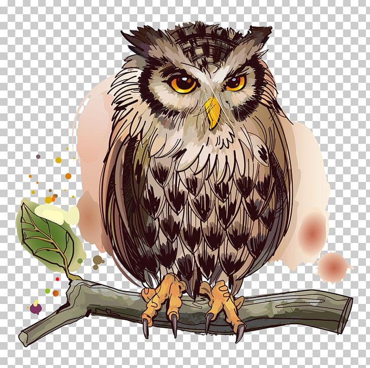 Owl Bird Stock Illustration Illustration PNG, Clipart, Beak, Bird, Bird Of Prey, Branches, Cartoon Free PNG Download