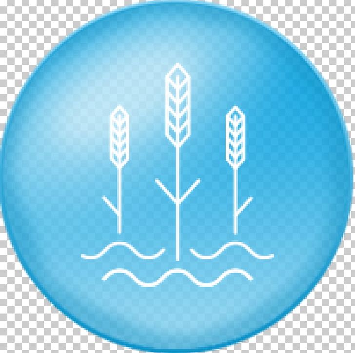 Selnica Ob Dravi World Water Day UN-Water Wastewater PNG, Clipart, Blue, Crisi De Laigua, Energy, Every Day, Fresh Water Free PNG Download