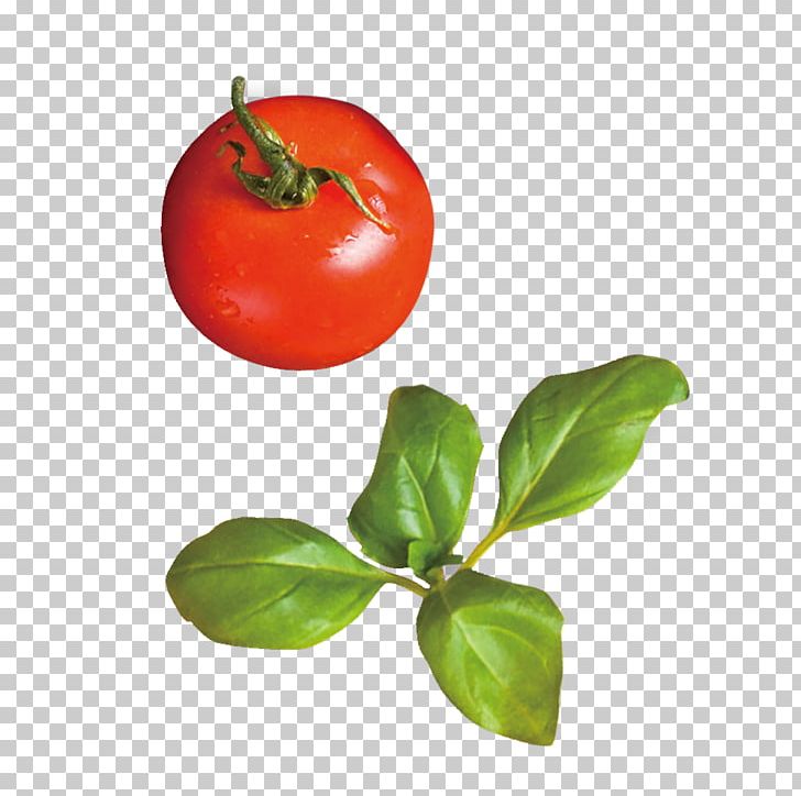 Tomato Red Rouge Tomate PNG, Clipart, App, Bell Peppers And Chili Peppers, Designer, Diet Food, Food Free PNG Download