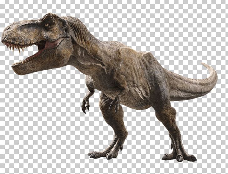 Universal S Tyrannosaurus Jurassic Park Film Post-credits Scene PNG, Clipart, Adventure Film, Dinosaur, Extinction, Fauna, Film Free PNG Download