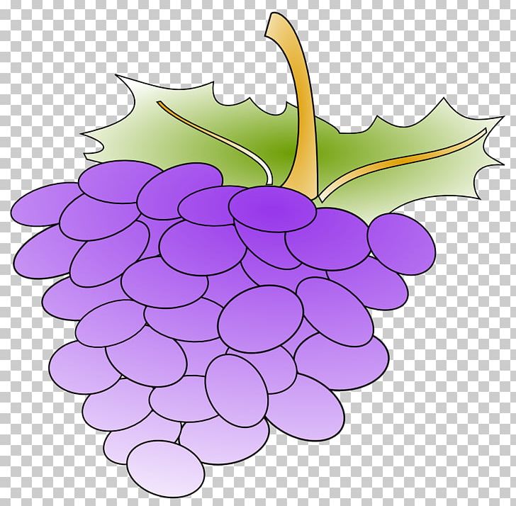 Common Grape Vine Grape Juice PNG, Clipart, Berry, Common Grape Vine, Download, Flower, Flowering Plant Free PNG Download