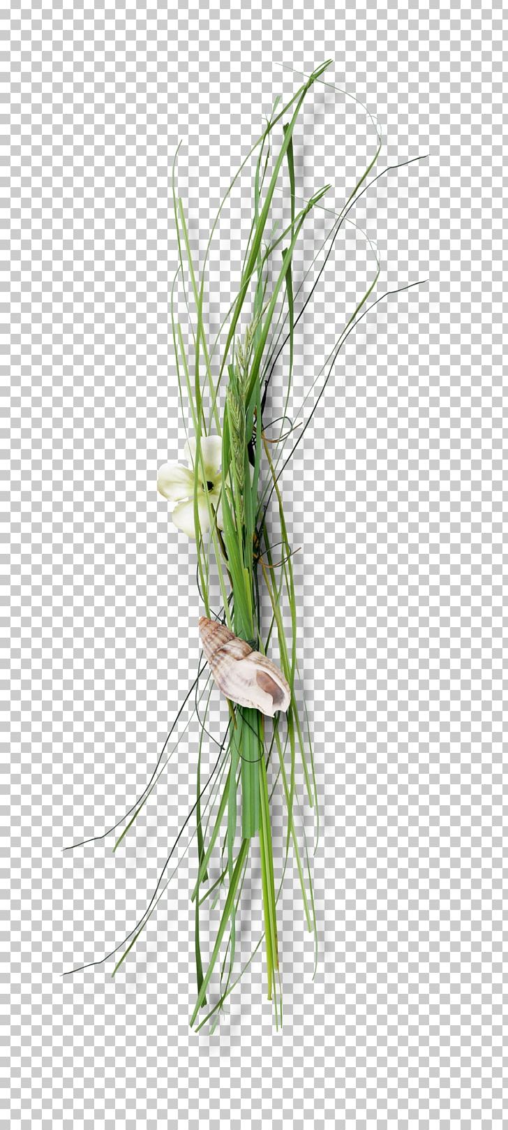 Floral Design PNG, Clipart, Conch, Encapsulated Postscript, Floristry, Flower, Flower Bouquet Free PNG Download