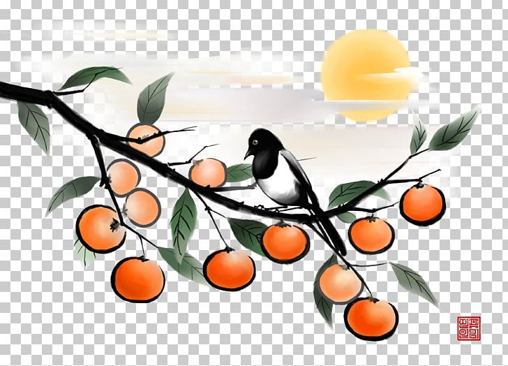 Fruit Japanese Persimmon Illustration PNG, Clipart, Antiquity, Autumn Tree, Birds, Branch, Christmas Tree Free PNG Download