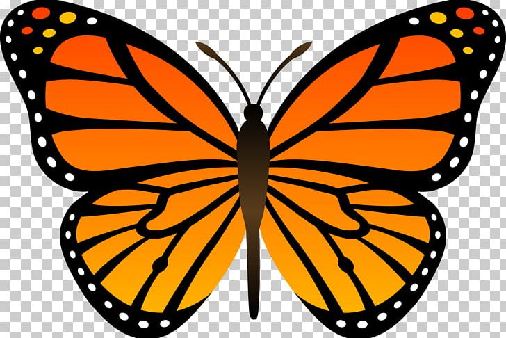 Monarch Butterfly Drawing Insect PNG, Clipart, Animal, Arthropod, Artwork, Brush Footed Butterfly, Butterfly Free PNG Download