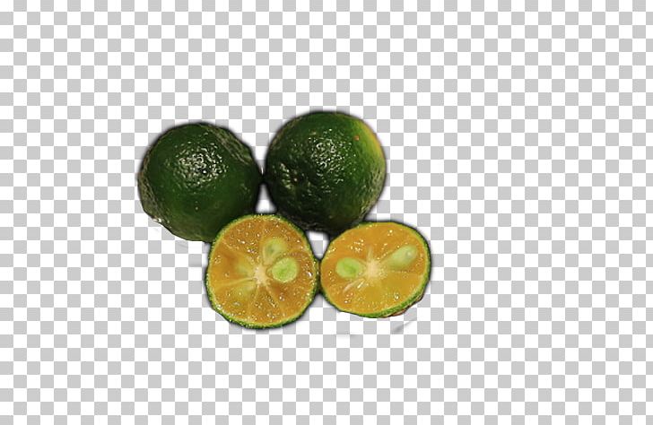 Persian Lime Tangelo Key Lime Volkamer Lemon PNG, Clipart, Bitter Orange, Citric Acid, Citrus, Citrus Japonica, Cyan Free PNG Download