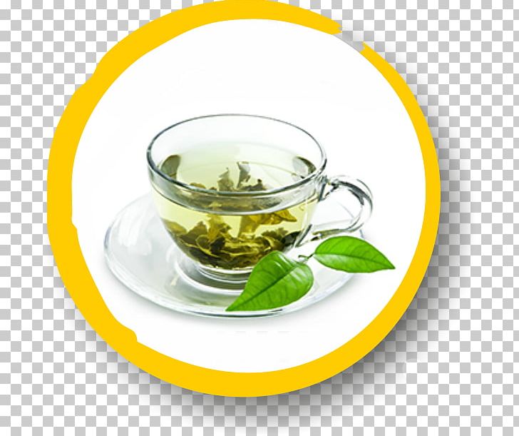 Green Tea Lotion Food Health PNG, Clipart,  Free PNG Download
