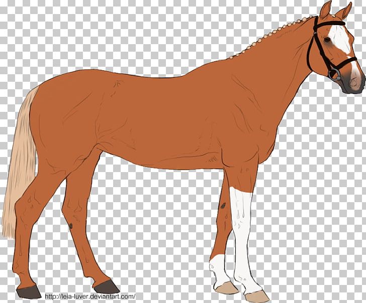 Mule Foal Stallion Mare Mustang PNG, Clipart, Animal Figure, Bridle, Colt, Donkey, Foal Free PNG Download
