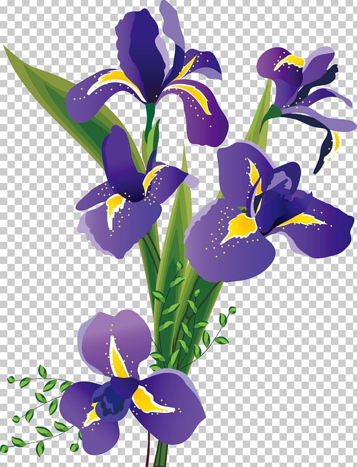 Northern Blue Flag Iris Flower Data Set Iris Family PNG, Clipart, Art, Color, Cut Flowers, Flower, Flowering Plant Free PNG Download
