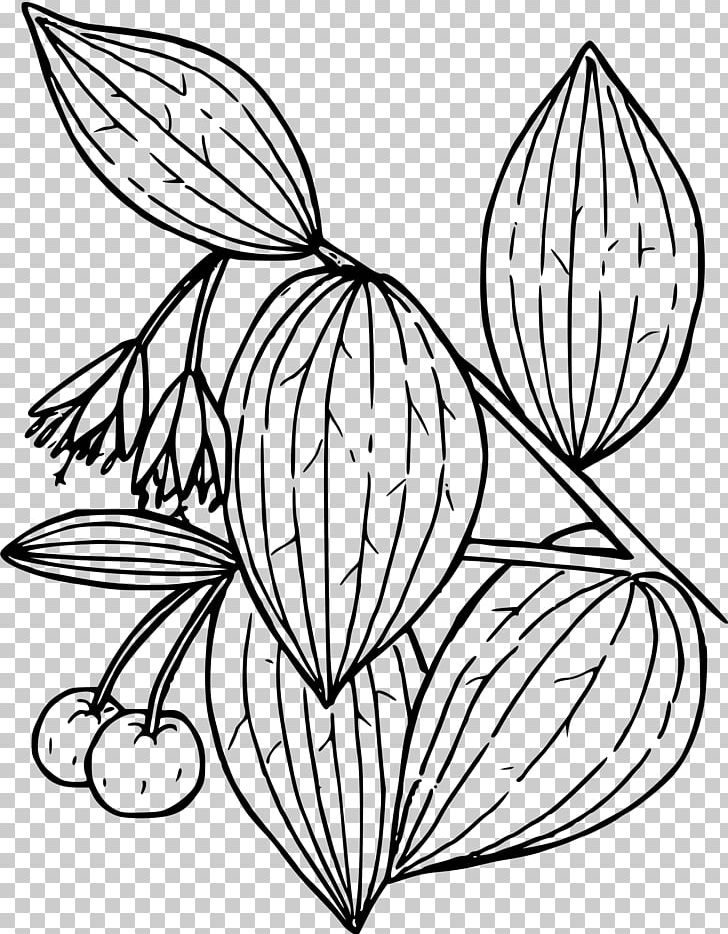 Wildflower Plant PNG, Clipart, Art, Black And White, Branch, Butterfly, Digital Image Free PNG Download