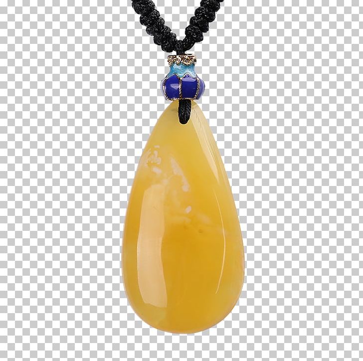 Amber Bee Pendant Necklace Gemstone PNG, Clipart, Amber, Bee, Beeswax, Download, Fashion Accessory Free PNG Download