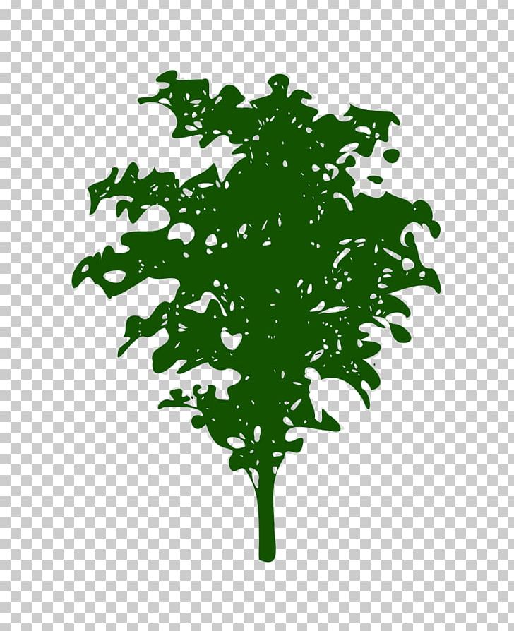 Green Leaf Plant Stem Font PNG, Clipart, 300 Dpi, Arts, Branch, Flora, Grass Free PNG Download