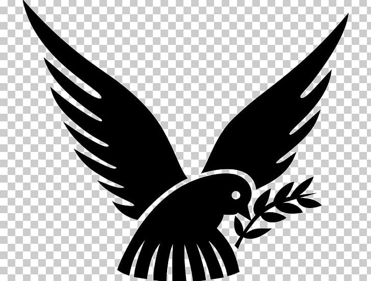 Cdr Olive Branch PNG, Clipart, Autocad, Autocad Dxf, Beak, Bird, Bird Of Prey Free PNG Download