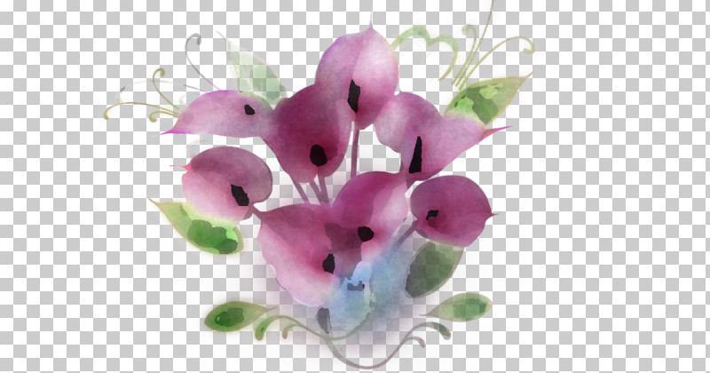 Flower Violet Pink Petal Plant PNG, Clipart, Cut Flowers, Dendrobium, Flower, Petal, Pink Free PNG Download