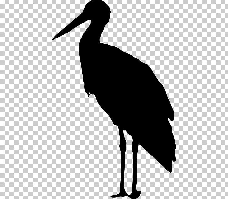 Bird Silhouette Photography PNG, Clipart, Animals, Beak, Bird, Black And White, Ciconia Free PNG Download