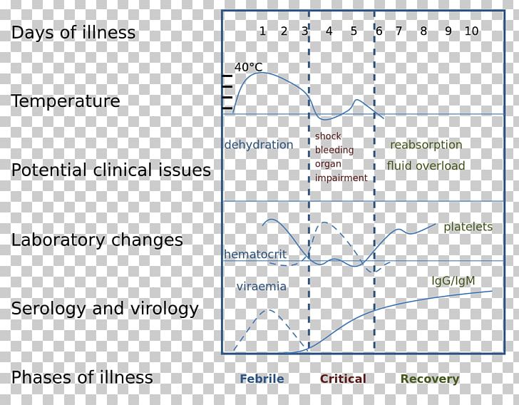 Dengue Virus Tropical Disease Symptom PNG, Clipart, Angle, Area, Dengue, Dengue Virus, Diagram Free PNG Download