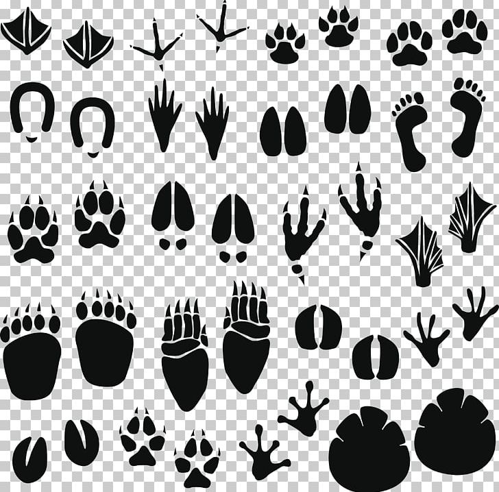 Raccoon Footprint Animal Track PNG, Clipart, Ani, Animal, Animals, Black, Black And White Free PNG Download