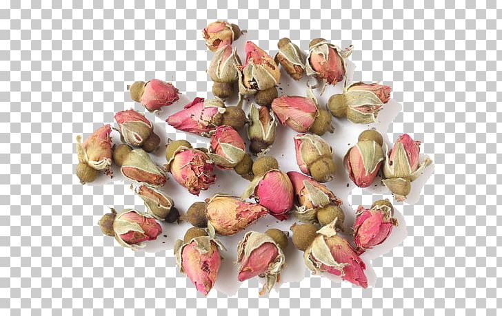Beach Rose Rosa Multiflora Petal Chinese Herbology PNG, Clipart, Amur Rose, Beach, Blue Rose, Chinese, Chinese Herbal Medicine Free PNG Download