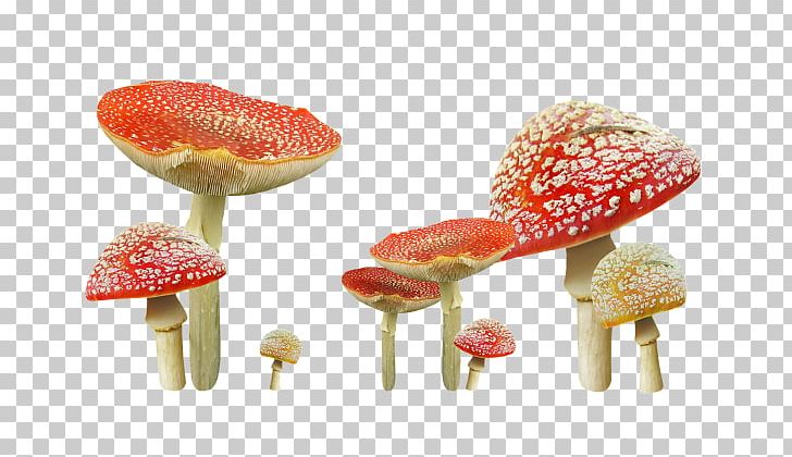 Edible Mushroom Autumn Fungus Common Mushroom PNG, Clipart, Autumn, Balloon Cartoon, Blog, Boy Cartoon, Cartoon Character Free PNG Download