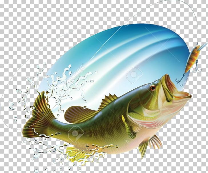 Wallpaper leaves water algae nature river figure fishing the bottom  fish picture art painting underwater world under water baubles bait  images for desktop section живопись  download